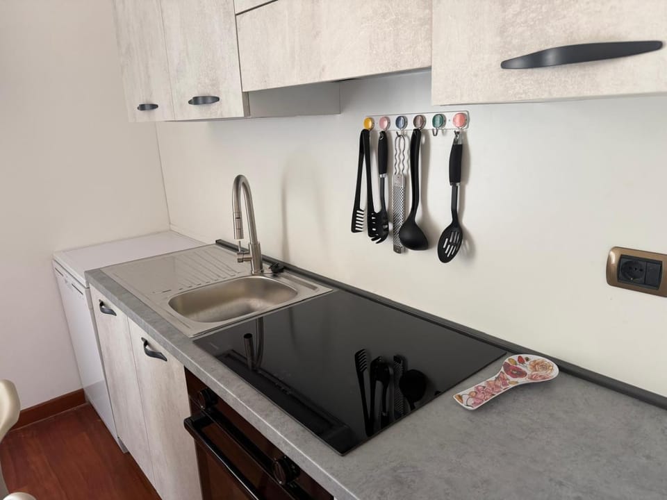 Kitchen or kitchenette, dishwasher, stove
