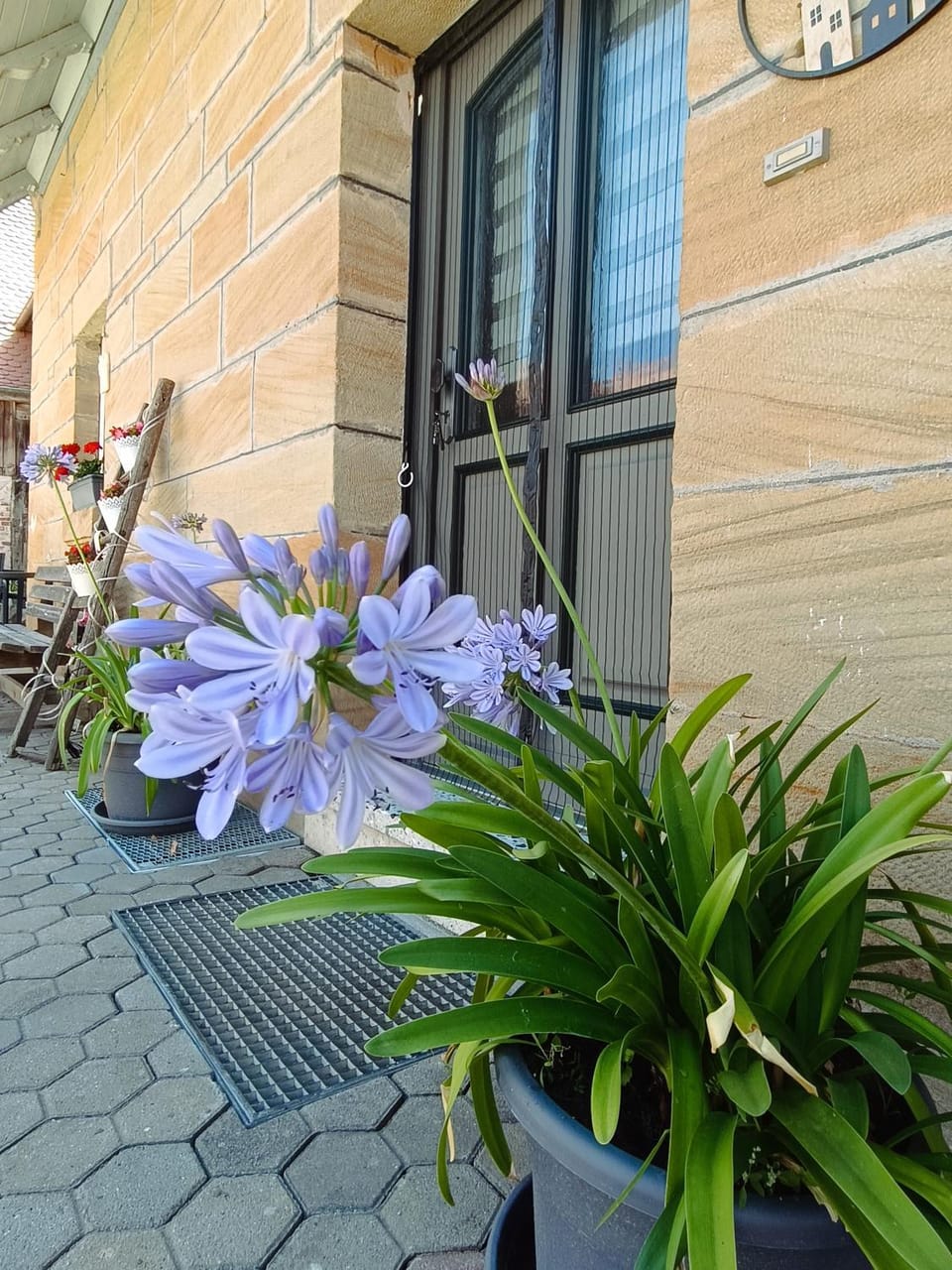 Property building, Garden view