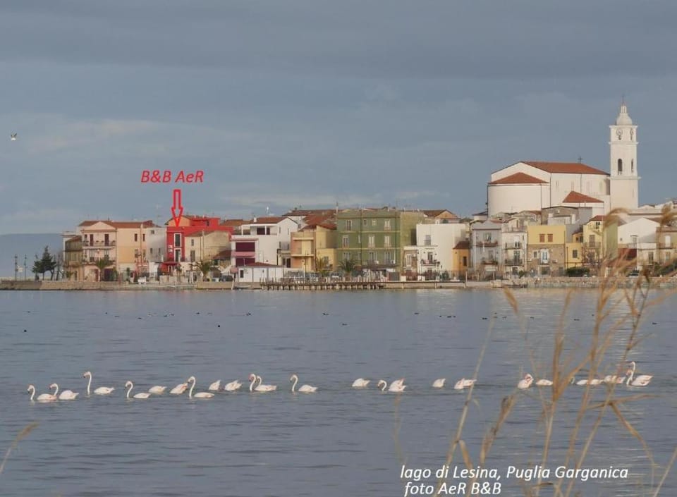 Text overlay, Lake view