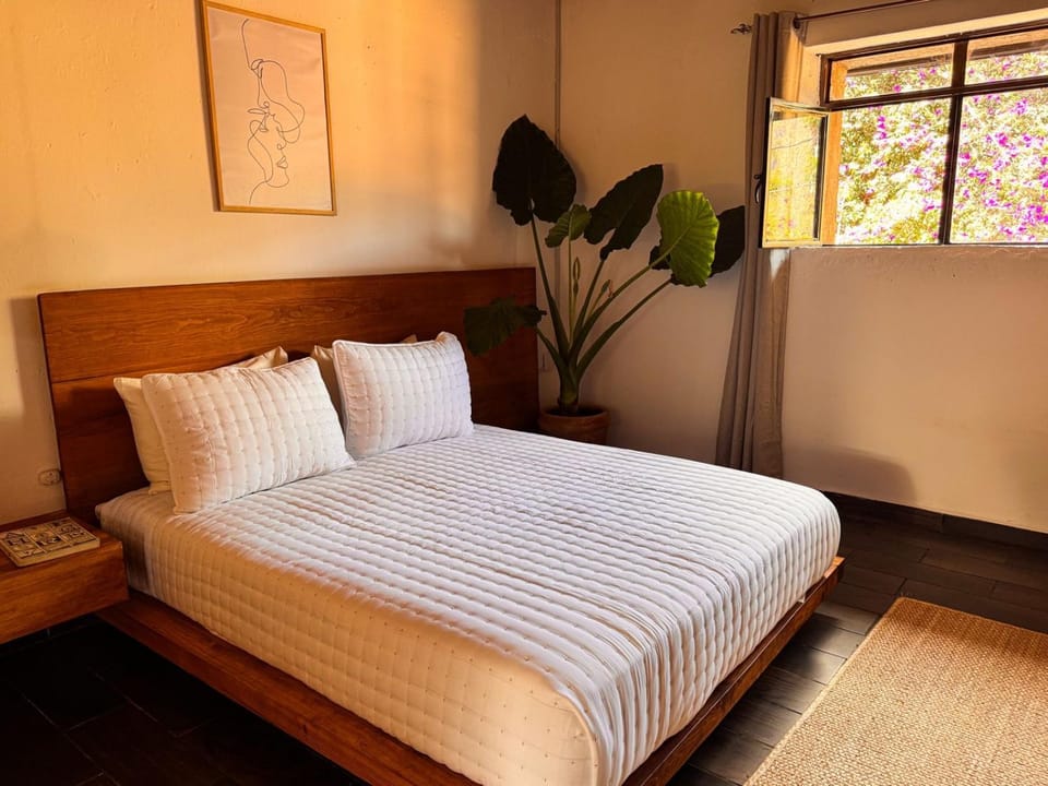 Umbral Habitacion Natural Privada con Baño Compartido Vacation rental in Tepoztlan