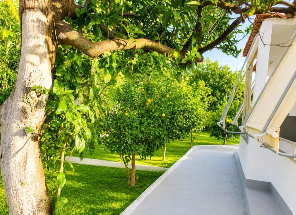 Beautiful Sea View Borsh Apartment in Vlorë County, Albania