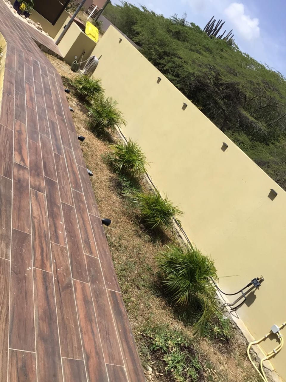 Garden, Garden view