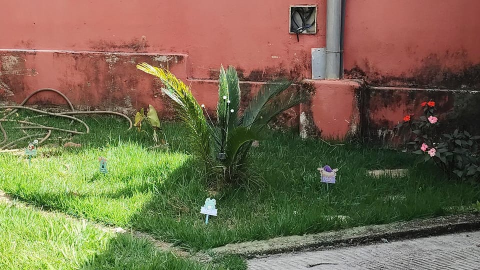 Chalé FERRAZ Vacation rental in State of São Paulo