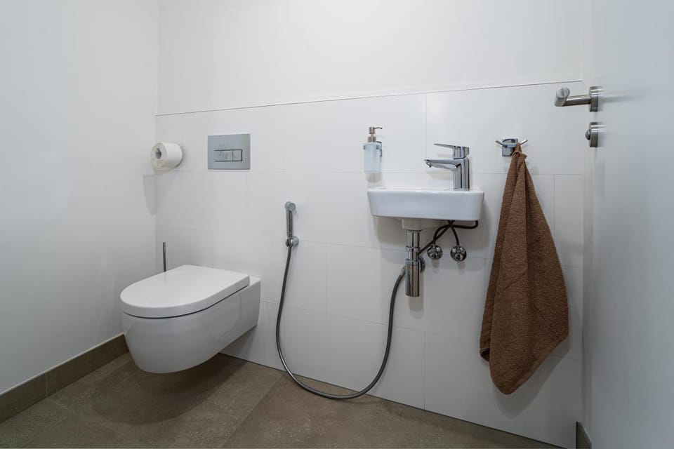 Big Central Living Apartment in Prague