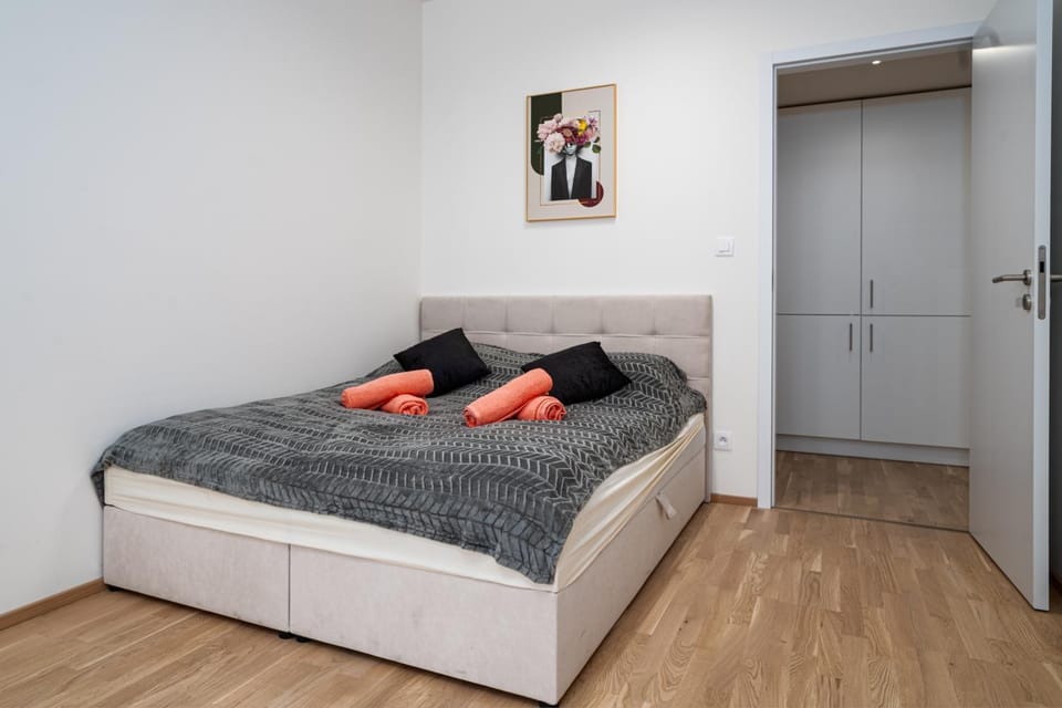 Big Central Living Apartment in Prague