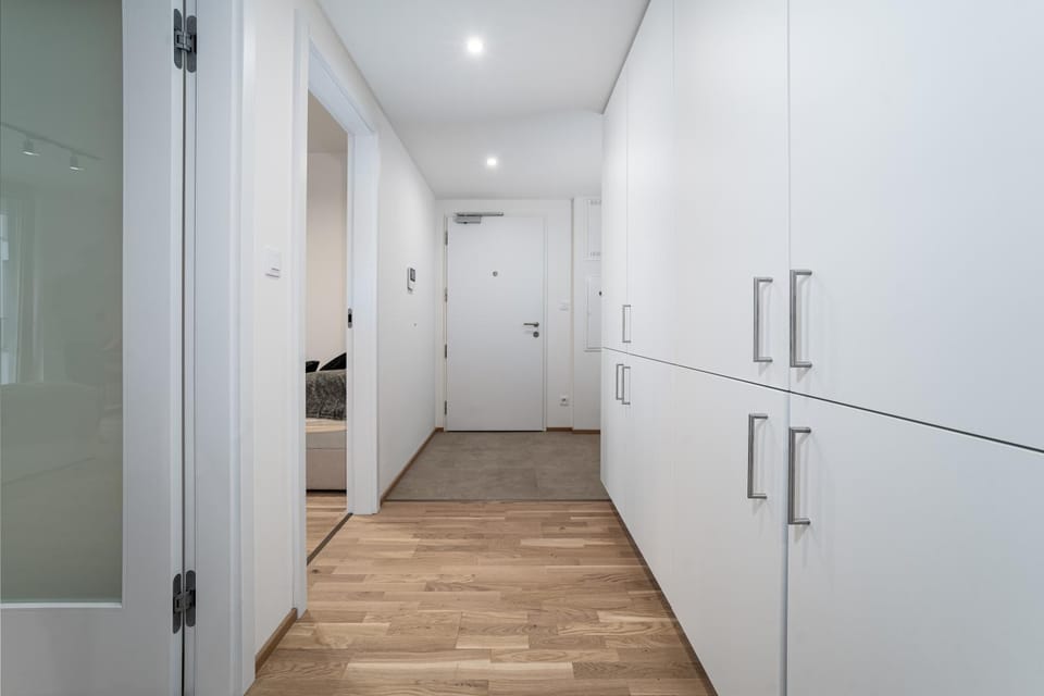 Big Central Living Apartment in Prague