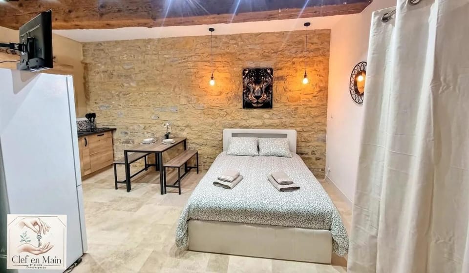 Le Petit Cocon Cozy studio proche de Lyon Apartment in Auvergne-Rhône-Alpes