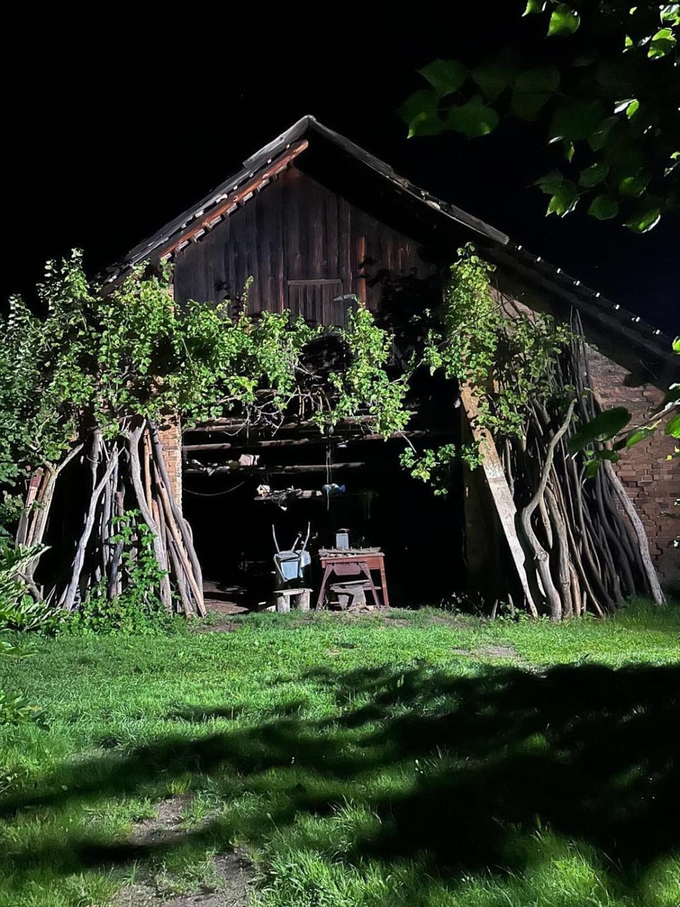 Property building, Night, Garden