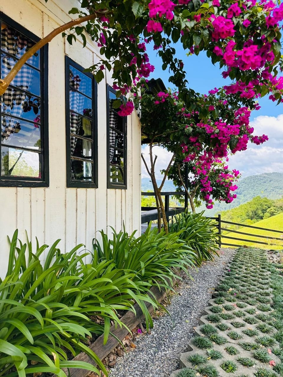 Property building, Garden