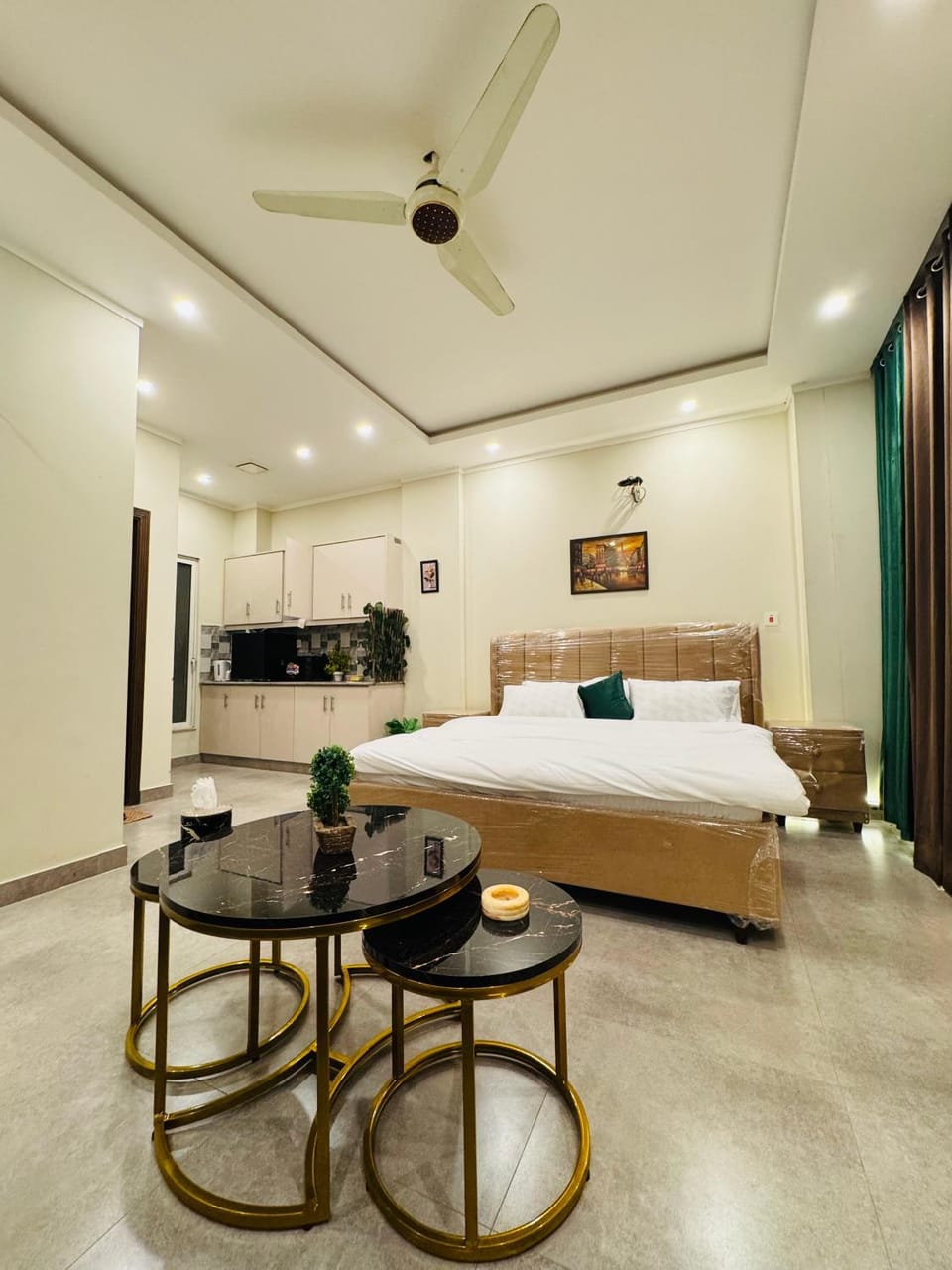 Bed, Kitchen or kitchenette, Living room, Photo of the whole room, Bedroom