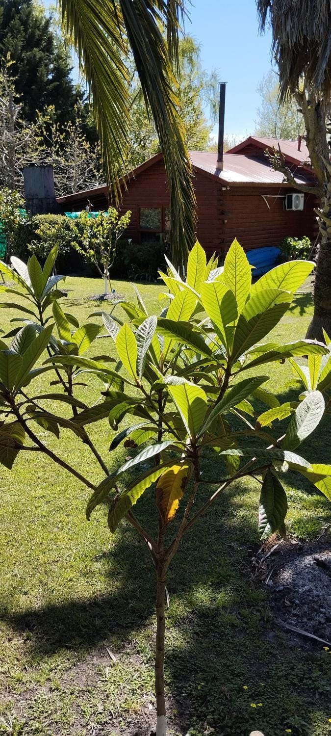 Off site, Garden