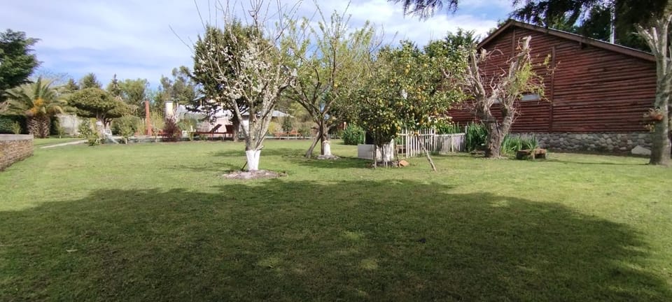 Natural landscape, Garden