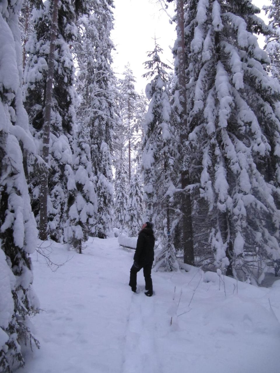 Winter