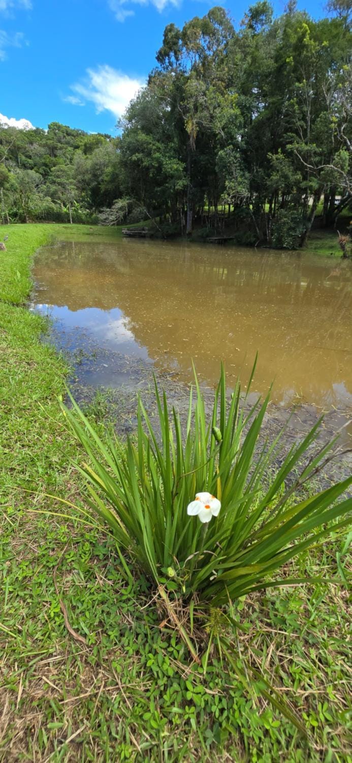 Chacara com Piscina coberta em Mandirituba PR House in State of Paraná