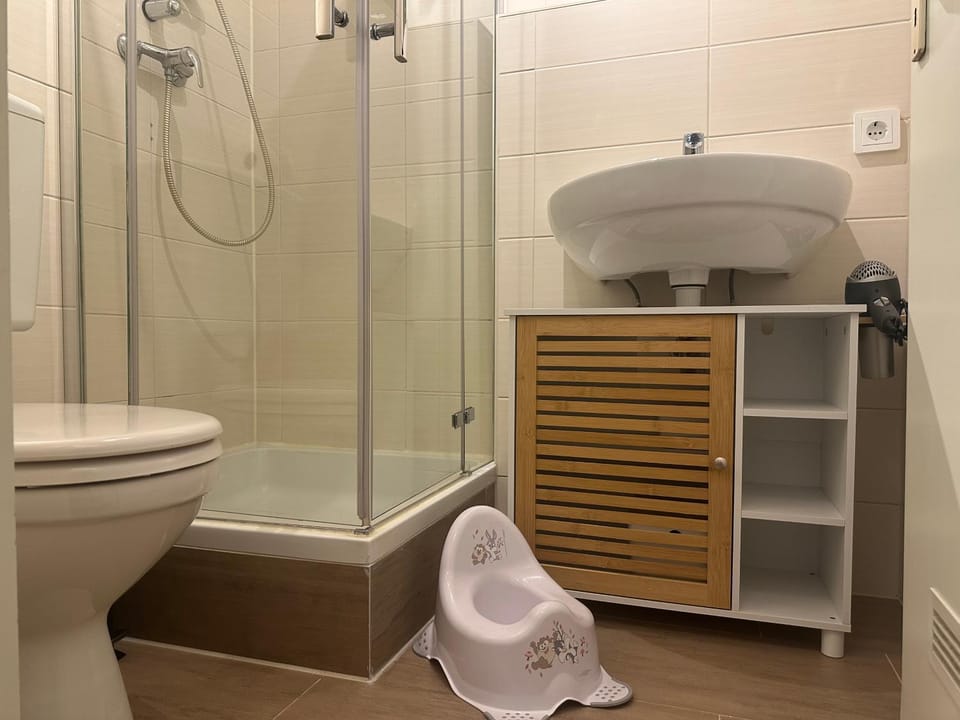 Shower, Toilet, Bathroom, towels