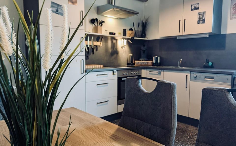 dishwasher, stove, washing machine, kitchen
