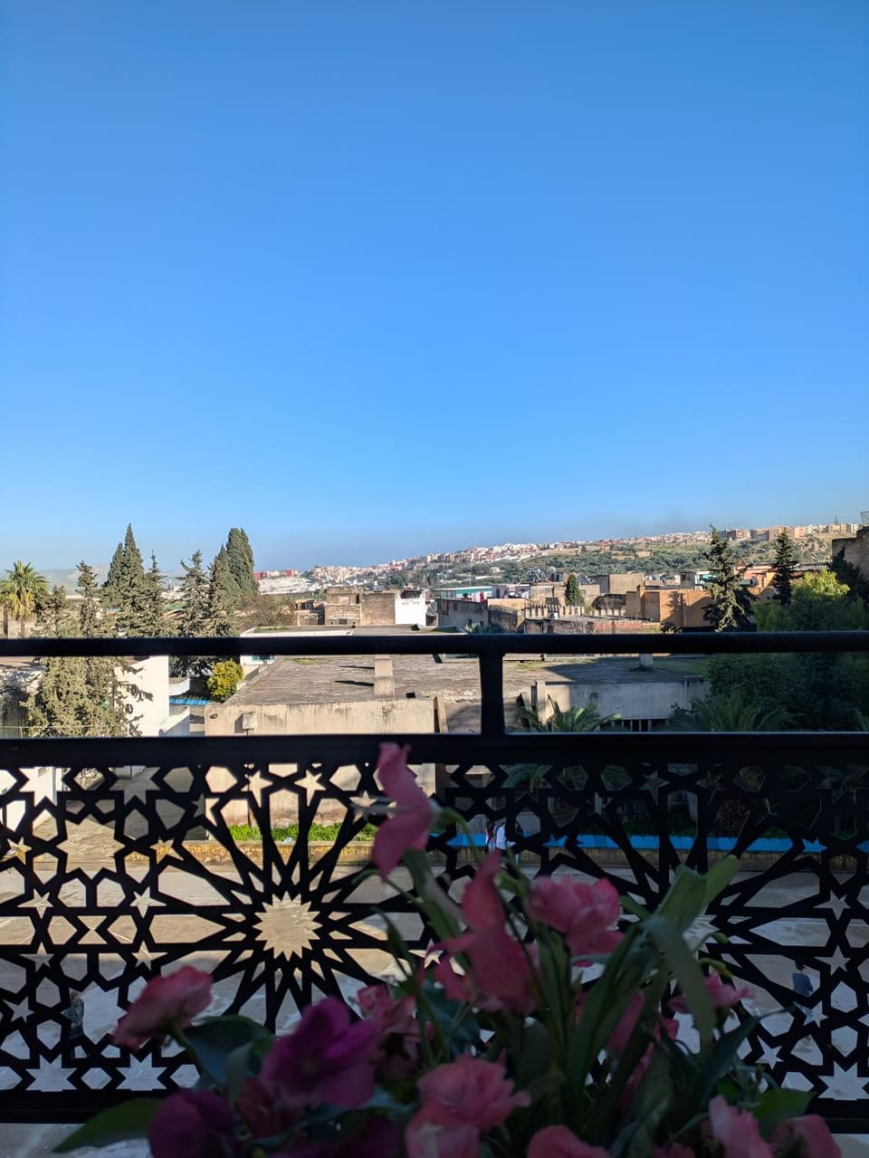 City view, Garden view