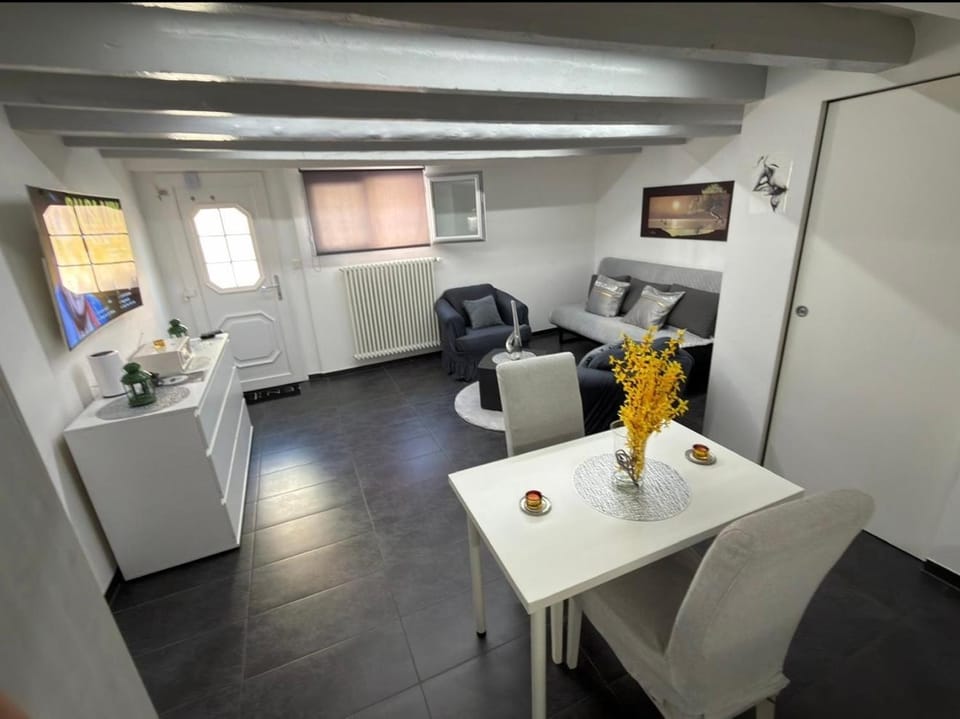 The little urban luxury Apartment in Canton of Vaud