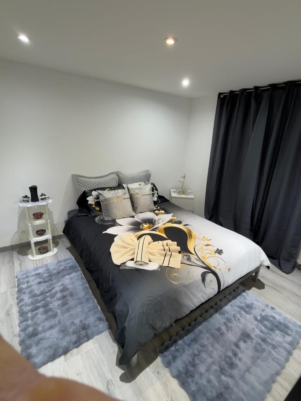 The little urban luxury Apartment in Canton of Vaud