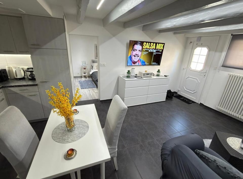 The little urban luxury Apartment in Canton of Vaud