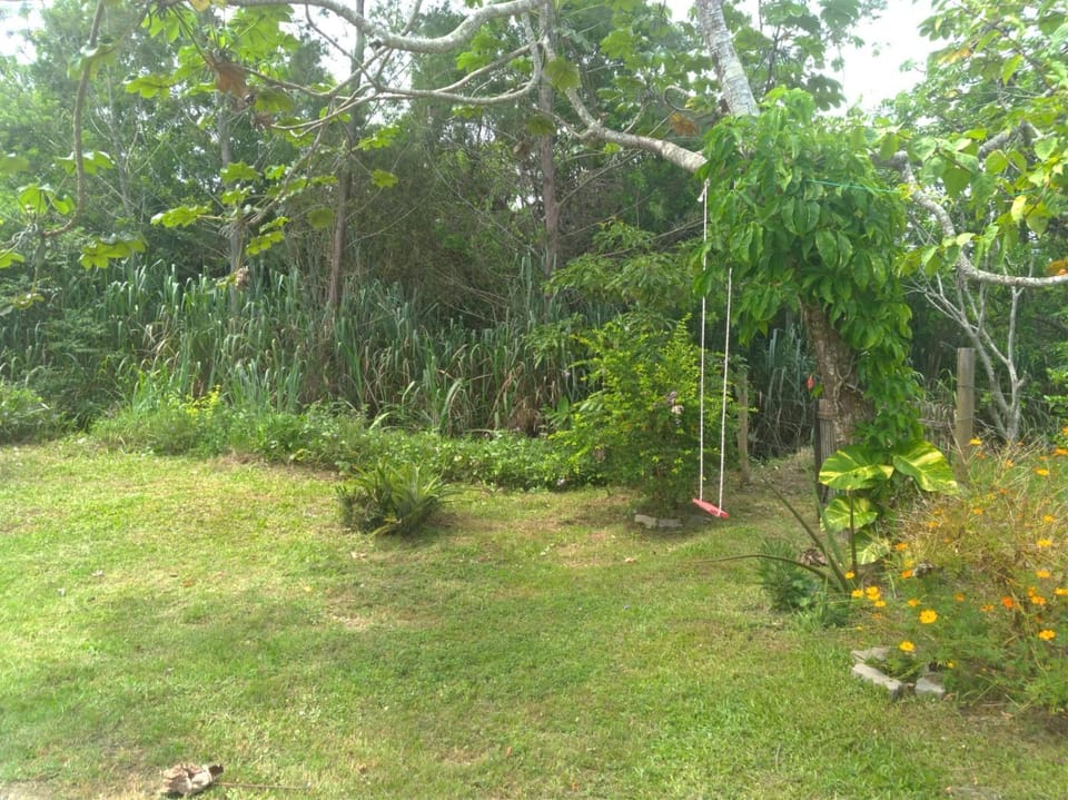 Quiet street view, Inner courtyard view