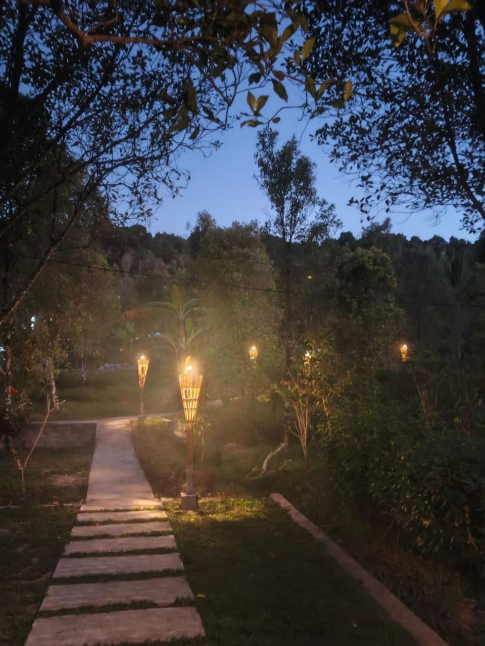Garden, Garden view