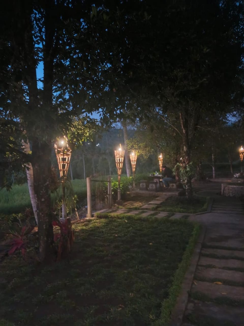 Night, Garden view