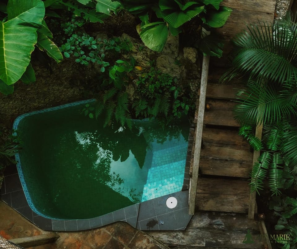 Pool view, Swimming pool