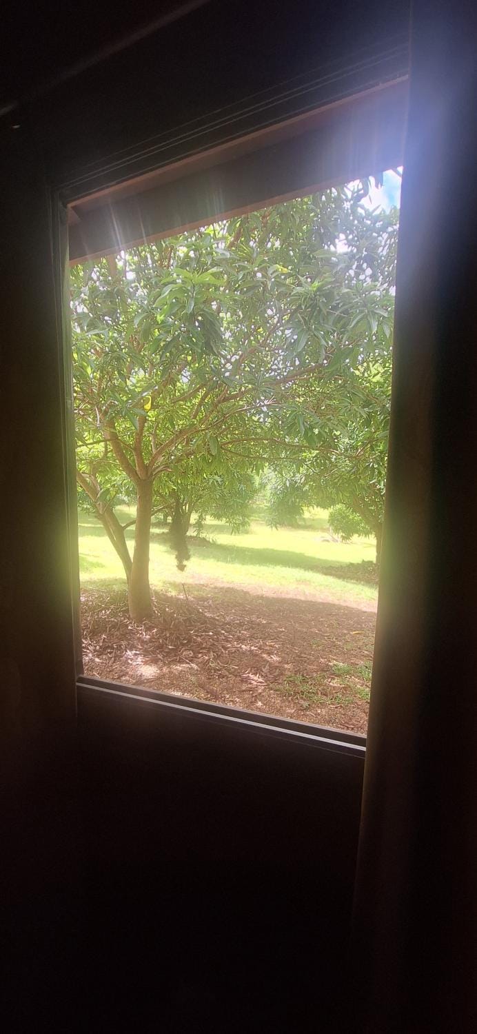Oasis 56 Aéroport Tontouta Bed and Breakfast in South Province, New Caledonia