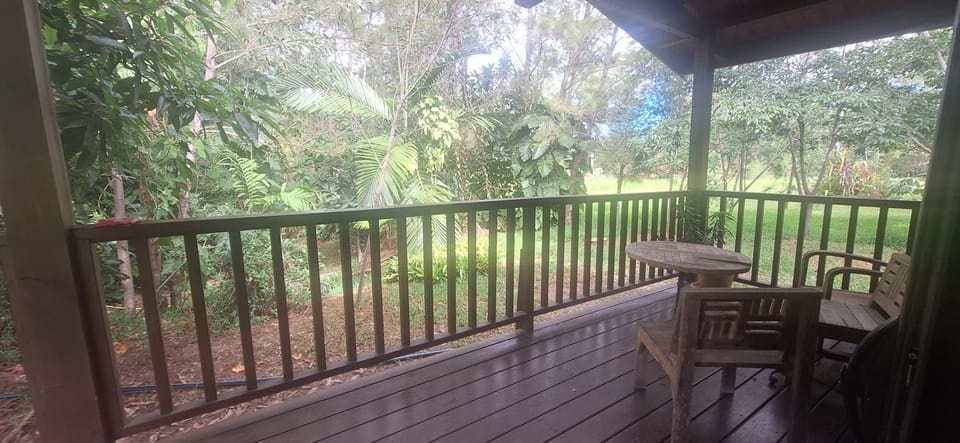 Oasis 56 Aéroport Tontouta Bed and Breakfast in South Province, New Caledonia