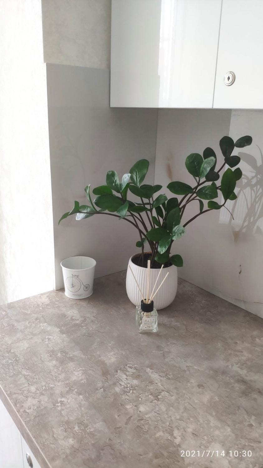 Новобудова в районі автовокзалу ЖК Арена Apartment in Ukraine