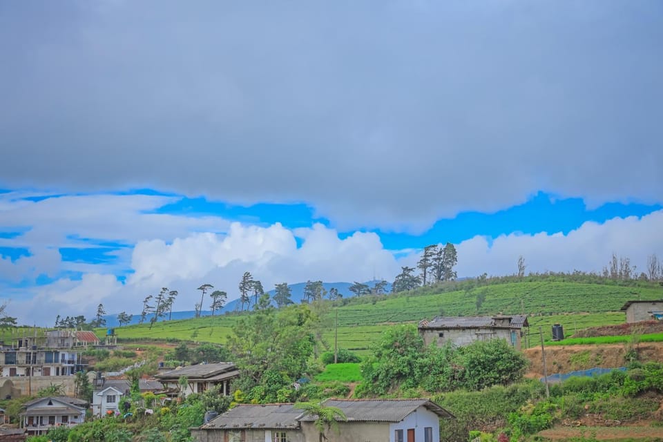 View (from property/room), View (from property/room)