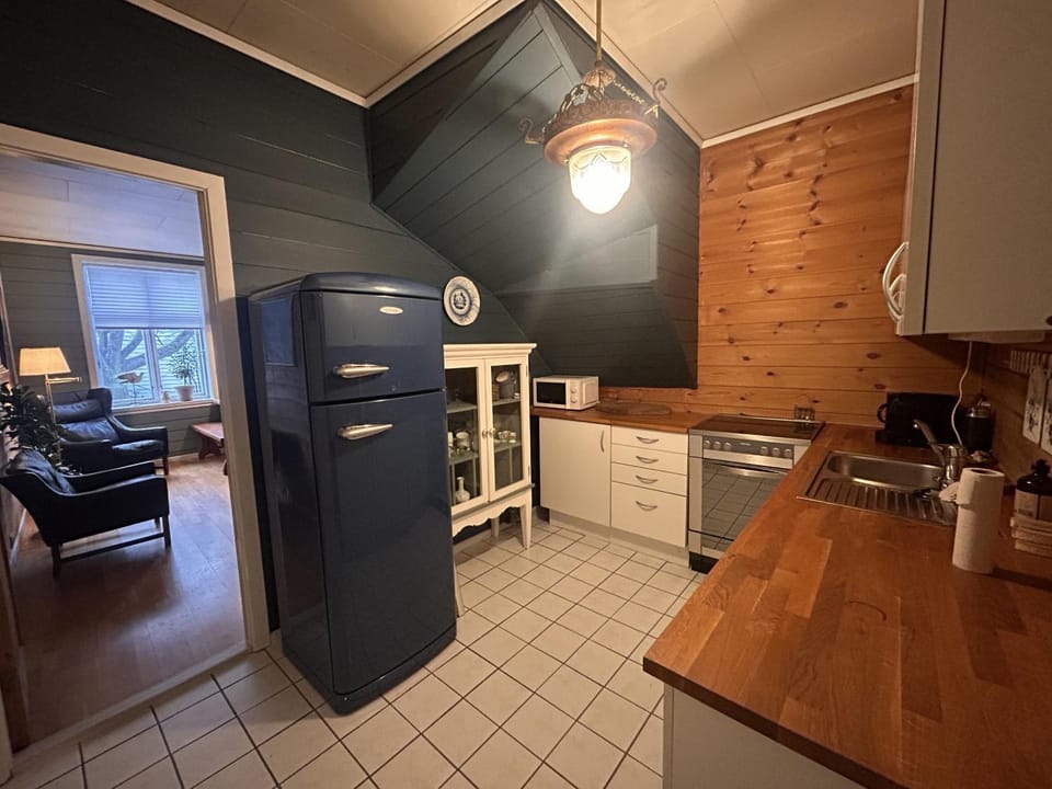 Kitchen or kitchenette, dishwasher, oven, stove