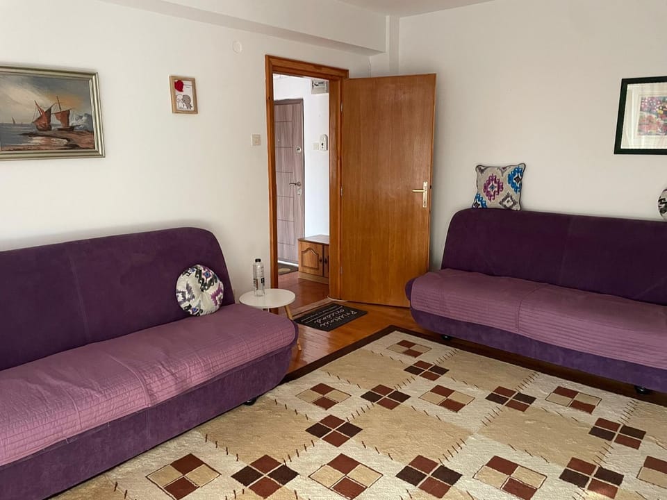 ELENA Center Apartment Apartment in Timisoara