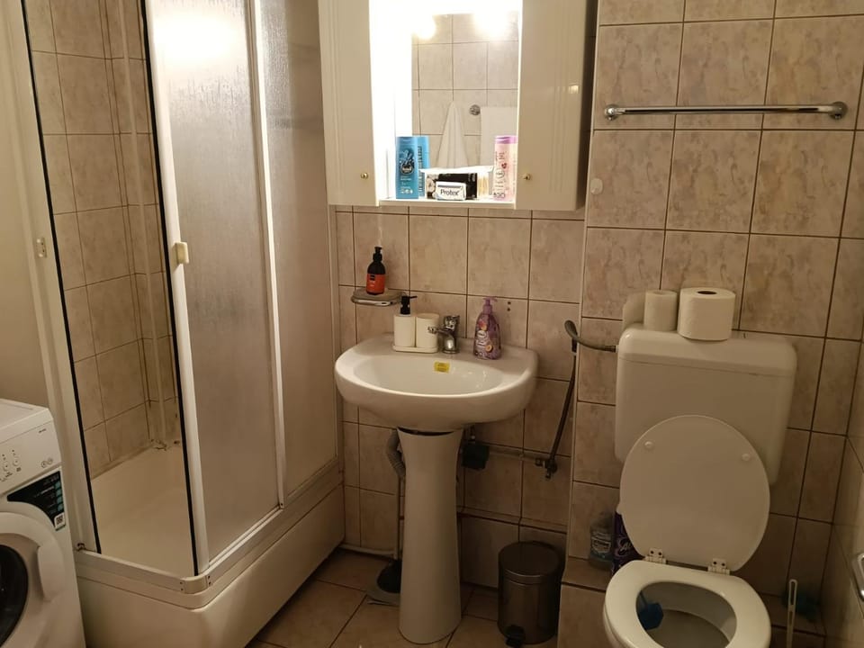 ELENA Center Apartment Apartment in Timisoara