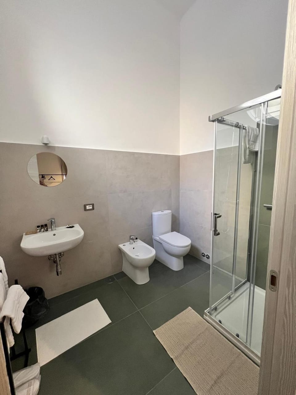 Shower, Toilet, bidet, towels