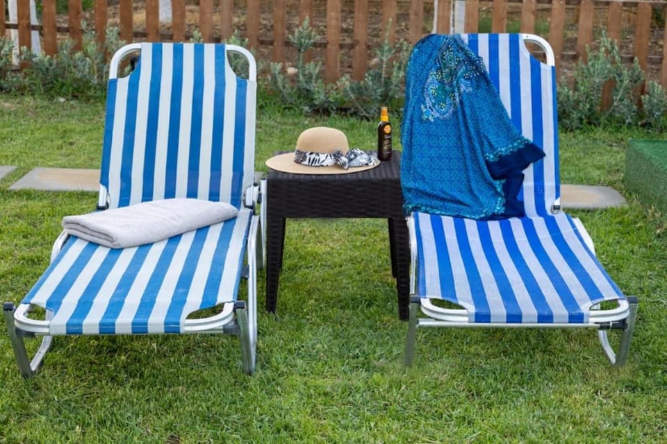 Day, Garden, Garden view, sunbed