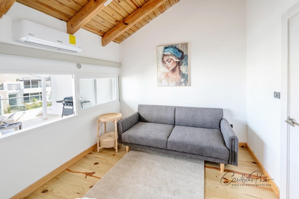 Dominica 303 Luxury Beachfront Penthouse with a Private Rooftop Jacuzzi Apartment in Dominicus