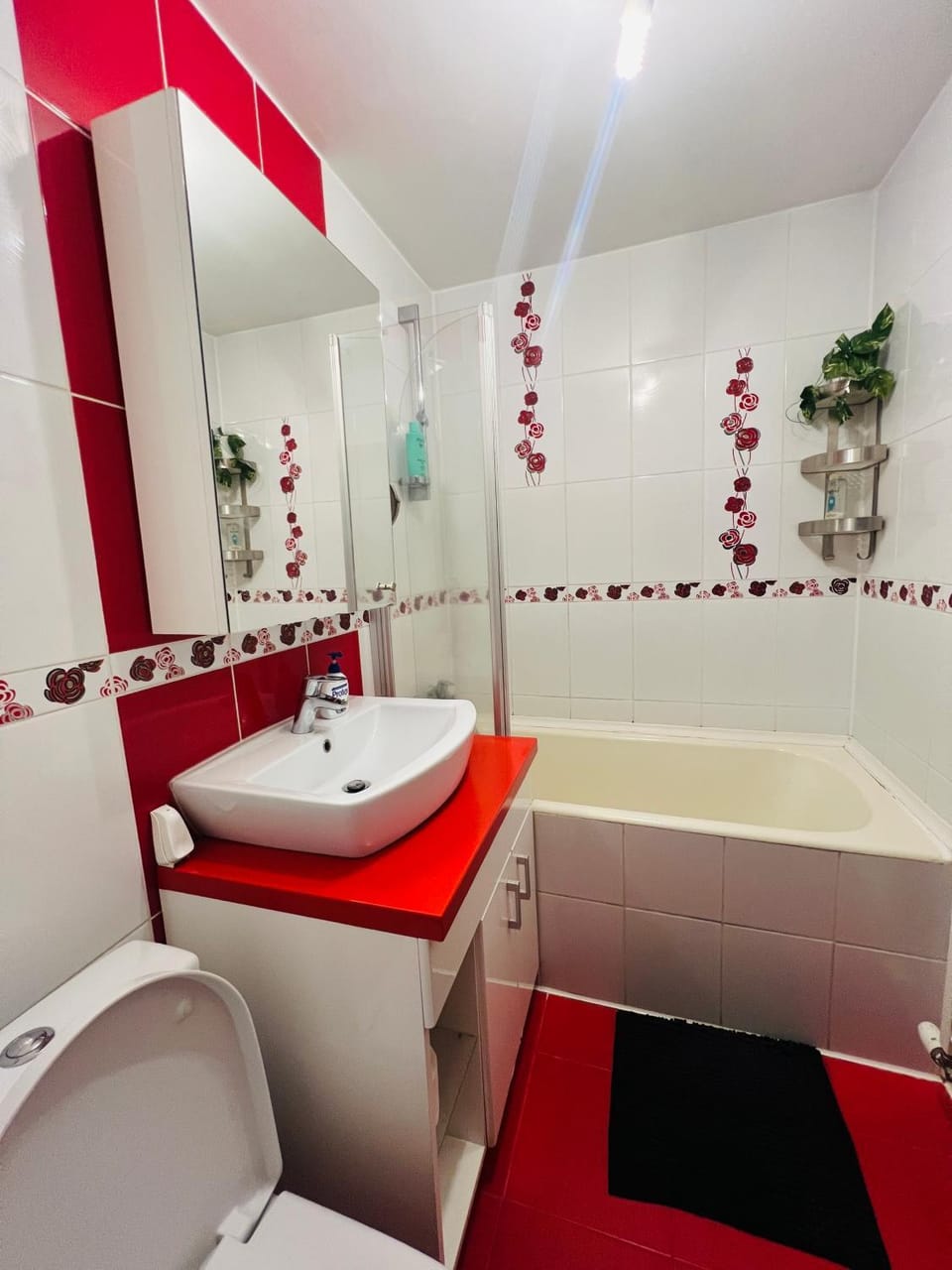 Middeltown rose Apartment in Romania