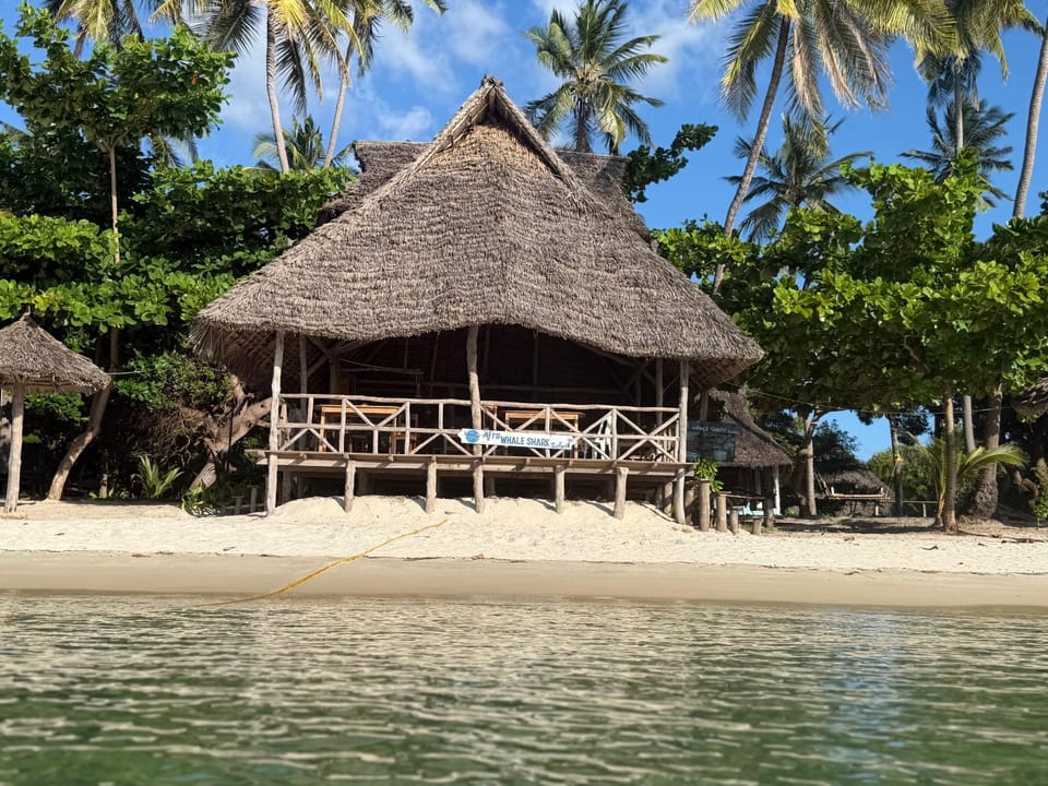 Afro Beach Safari Bed and Breakfast in Tanzania