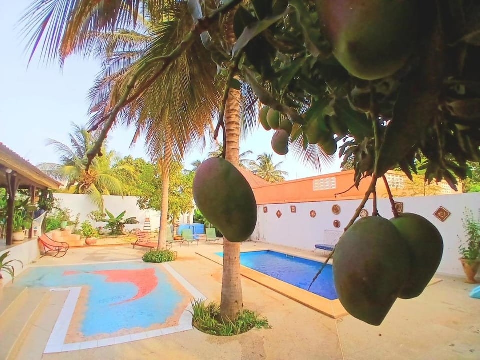 Day, Garden, Garden view, Pool view, Swimming pool, sunbed