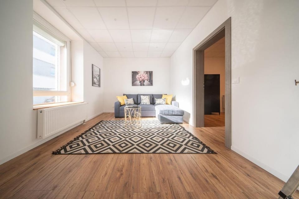 Le Bateau d'Alma Chic apartment for 6 people Apartment in Mulhouse