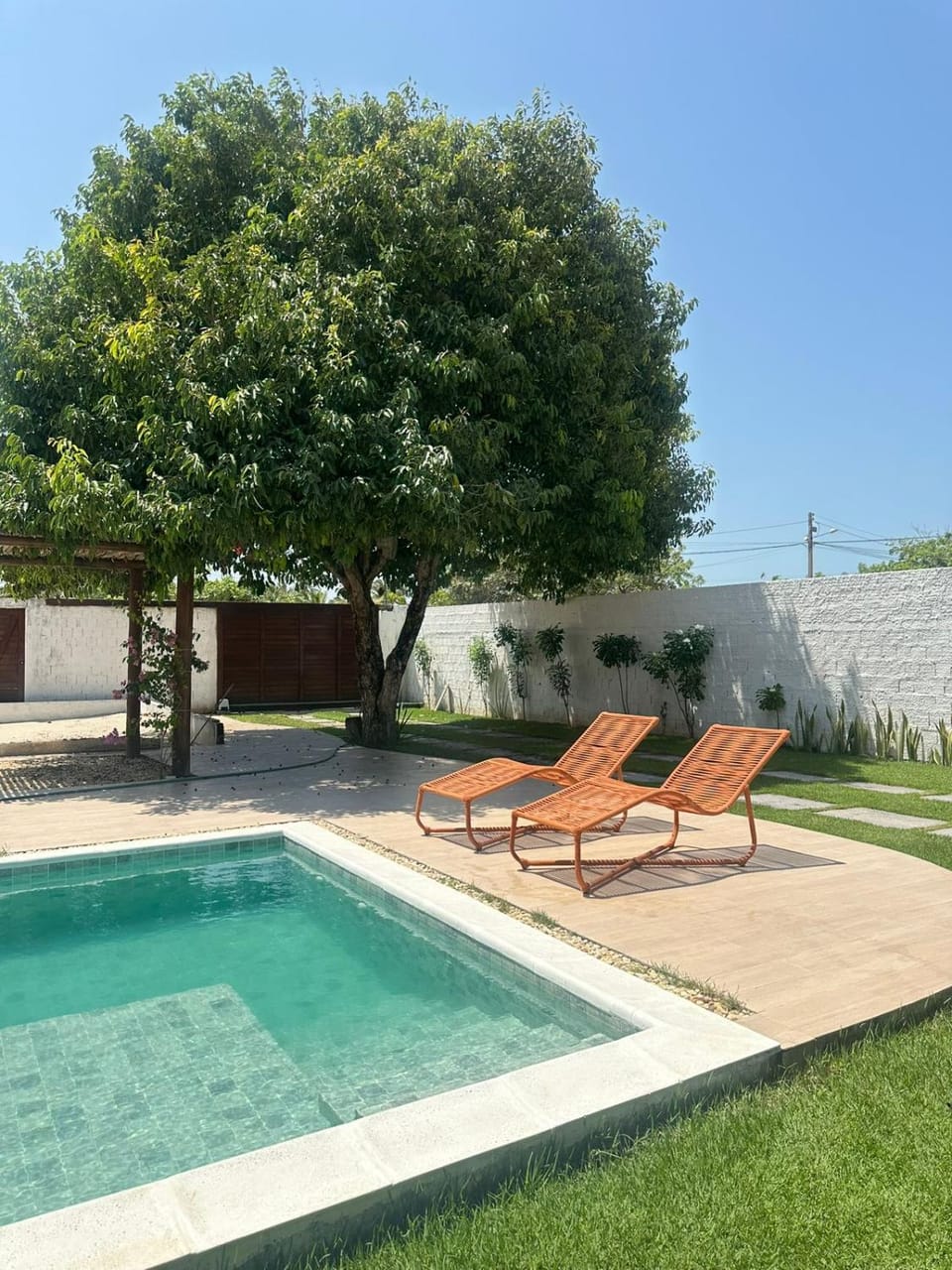 Garden, Swimming pool, sunbed