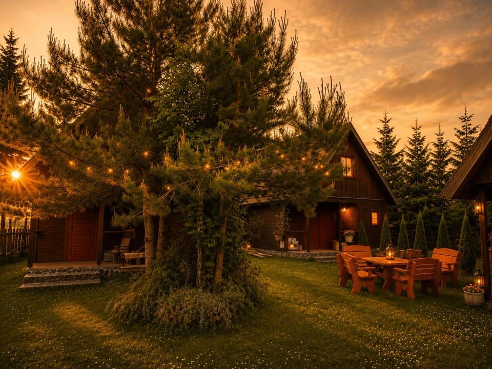 Spring, Day, Natural landscape, Garden, Garden view, Sunrise, Sunset