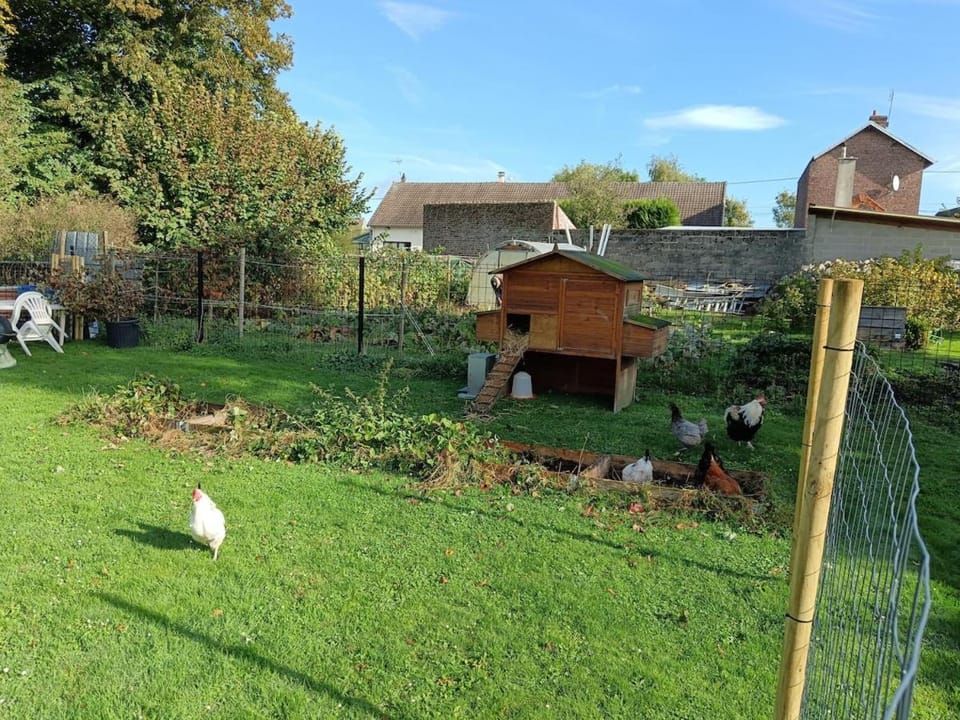 Garden view