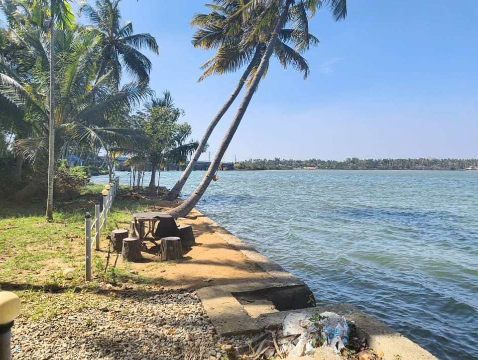 Lake view