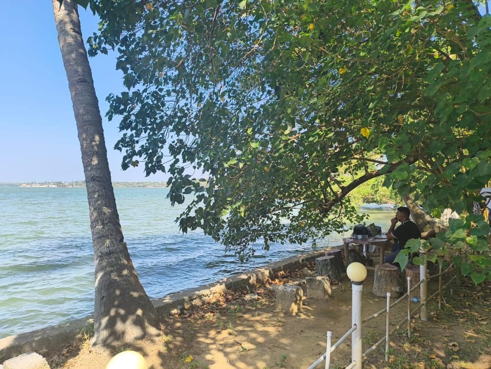 Lake view