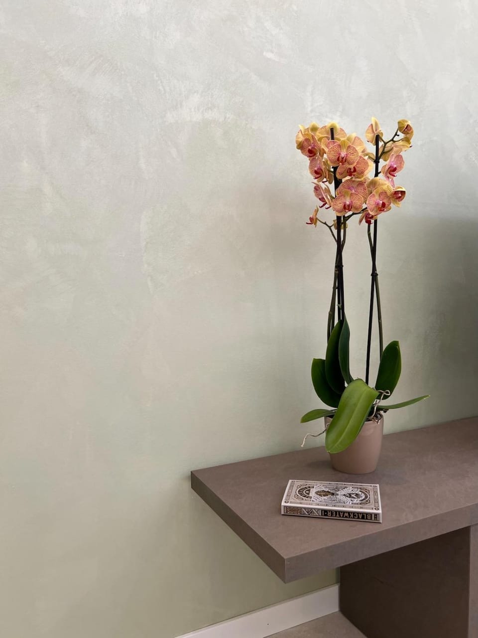 Living room, Decorative detail