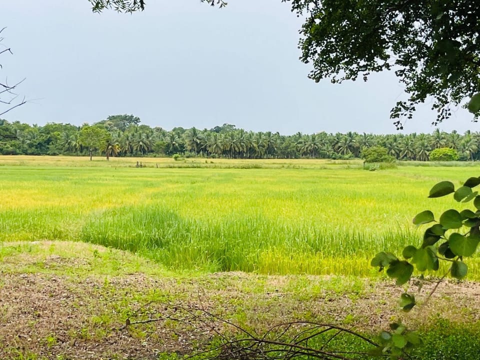 Ranathunga Guest Kataragama Vacation rental in Uva Province, Sri Lanka