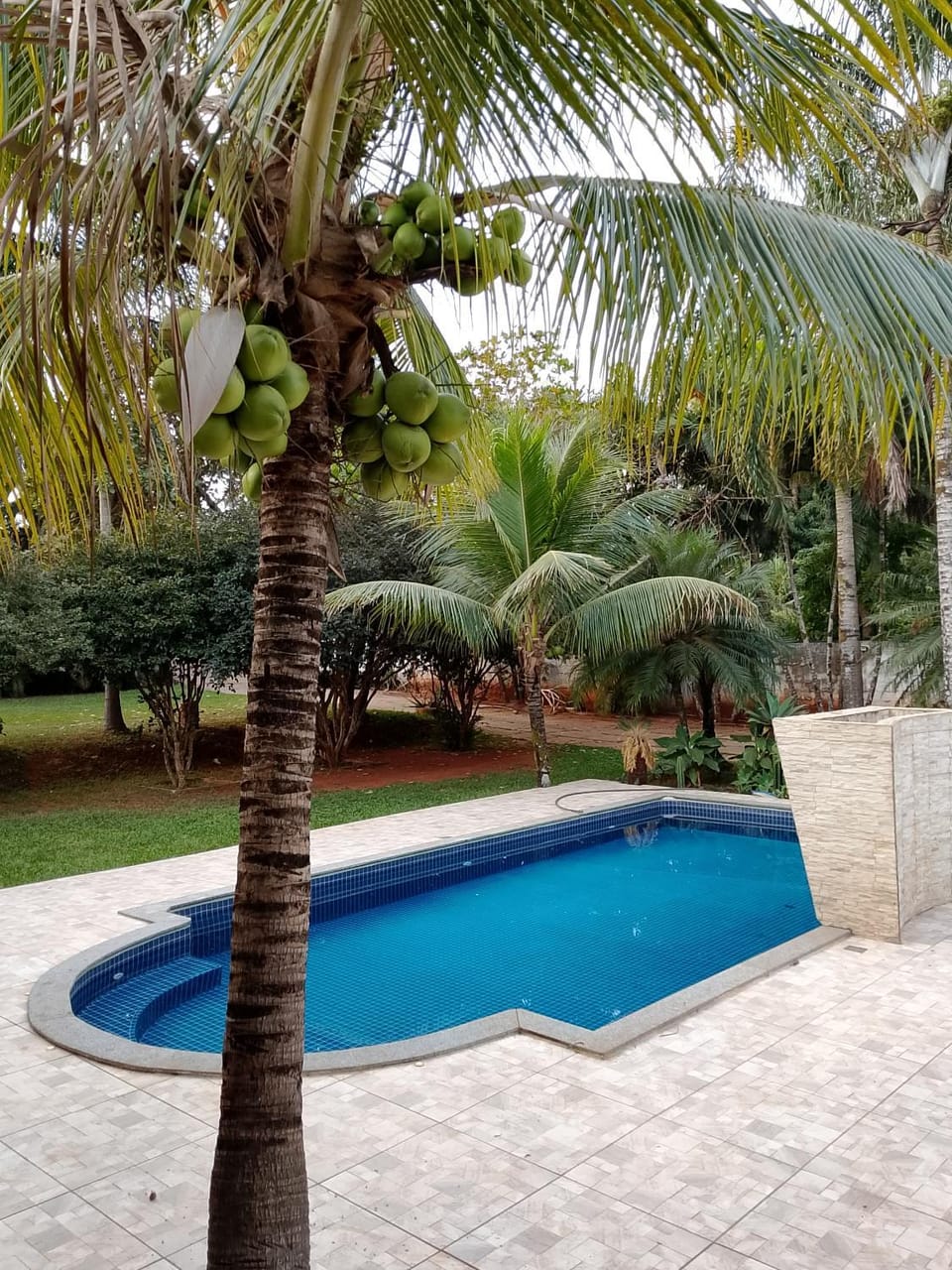 Garden, Swimming pool